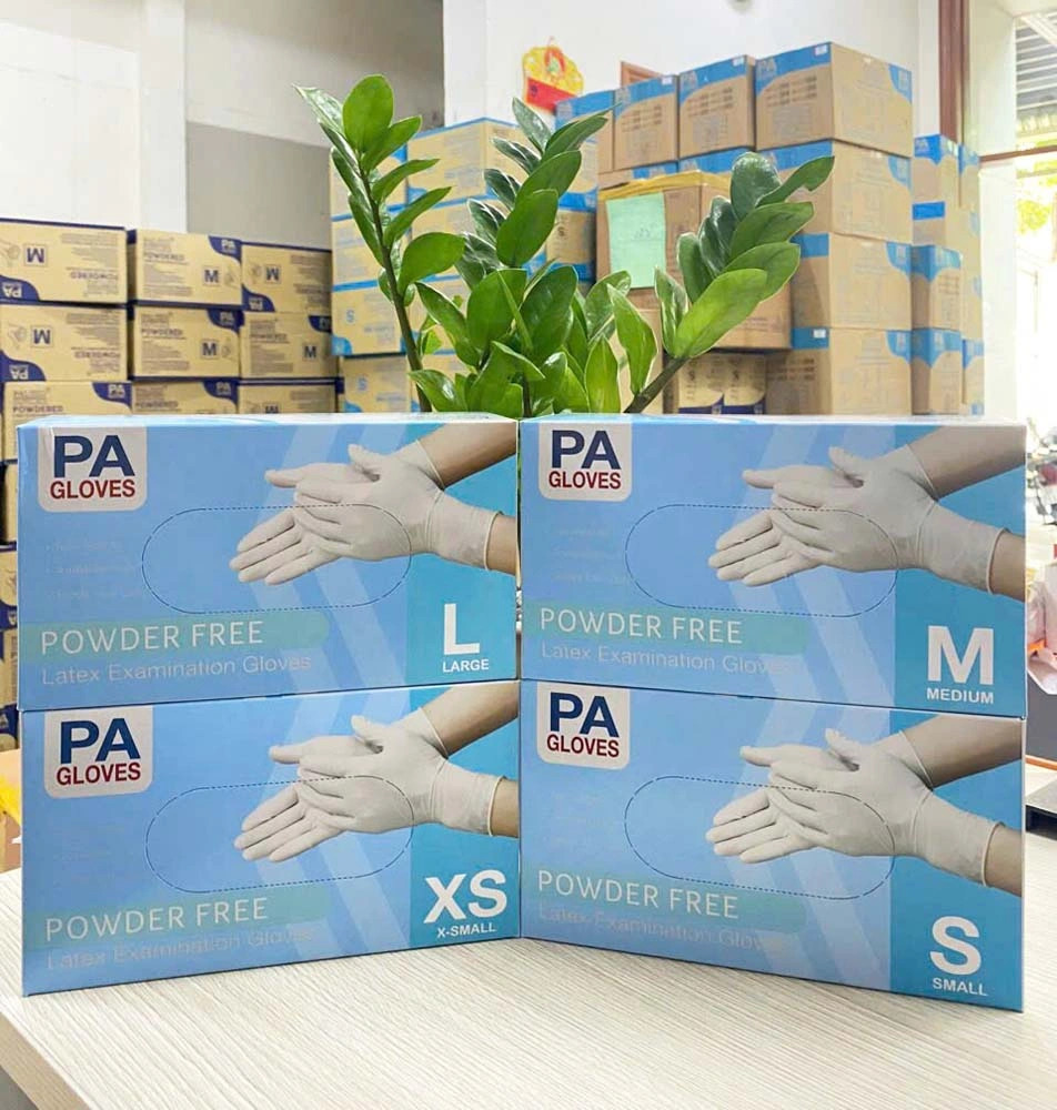 Găng tay cao su y tế latex không bột PA Gloves