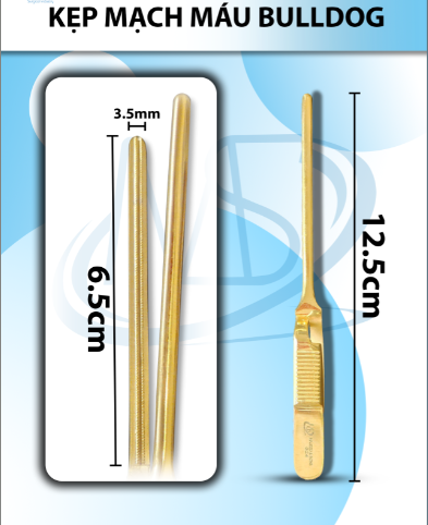 kẹp mạch máu bulldog 12.5cmx3.5mm thẳng (12.5cm D6.5cm R3.5mm)