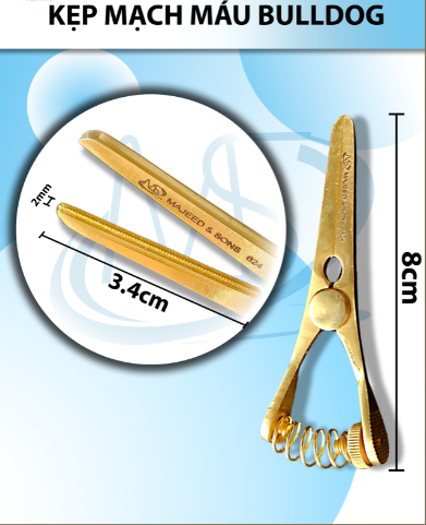 Kẹp mạch máu bulldog 8cm Thẳng, Dài thẳng 8cm kẹp D3,4cm R2mm
