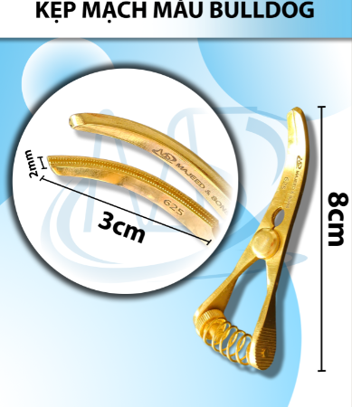 Kẹp mạch máu bulldog 8cm Cong, Dài 8cm r2 kẹp 3cm