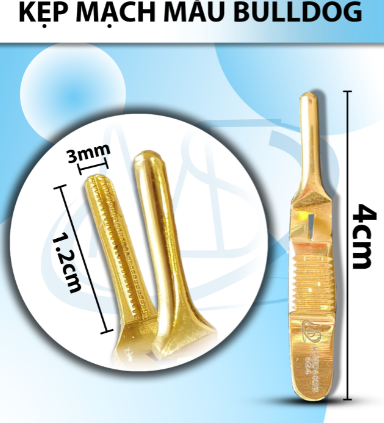 kẹp mạch máu bulldog 4cmx3mm thẳng (4cm D1.2cm R3mm)