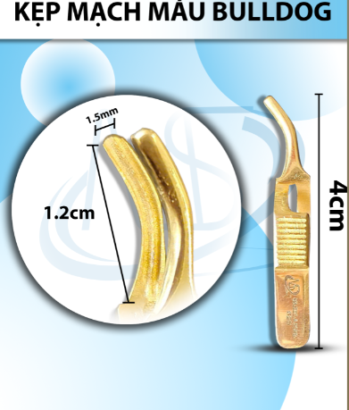 kẹp mạch máu bulldog 4cmx1.5mm cong (4cm D 1.2cm R1)