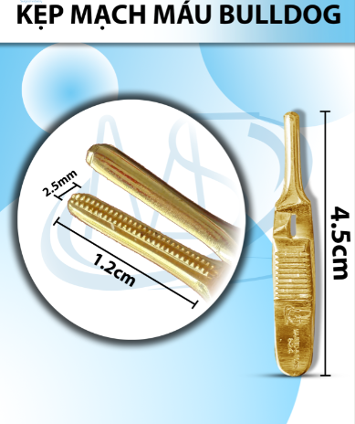 Kẹp mạch máu bulldog 4,5cm thẳng,dài kẹp 1,2cm rộng 2,5mm