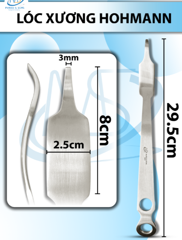 Lóc xương Hohmann Dài 29,5cm đầu dài 8cm rộng bự 2,5cm nhỏ 3mm