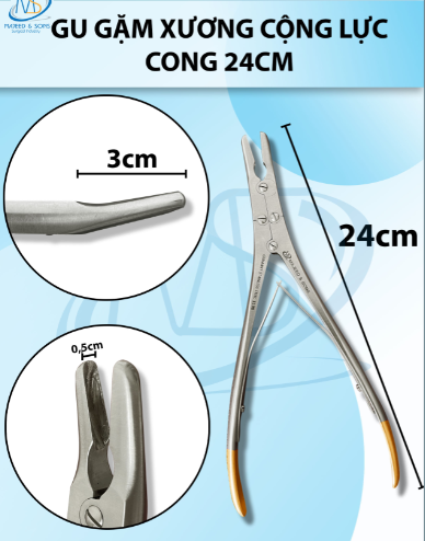 Gu gặm xương cộng lực cong 24cm