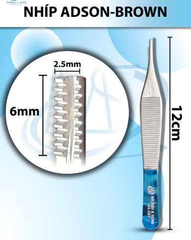 Nhíp Adson-Brown 12cm đầu nhíp D6mmxR2mm (cán xanh, cán vàng)